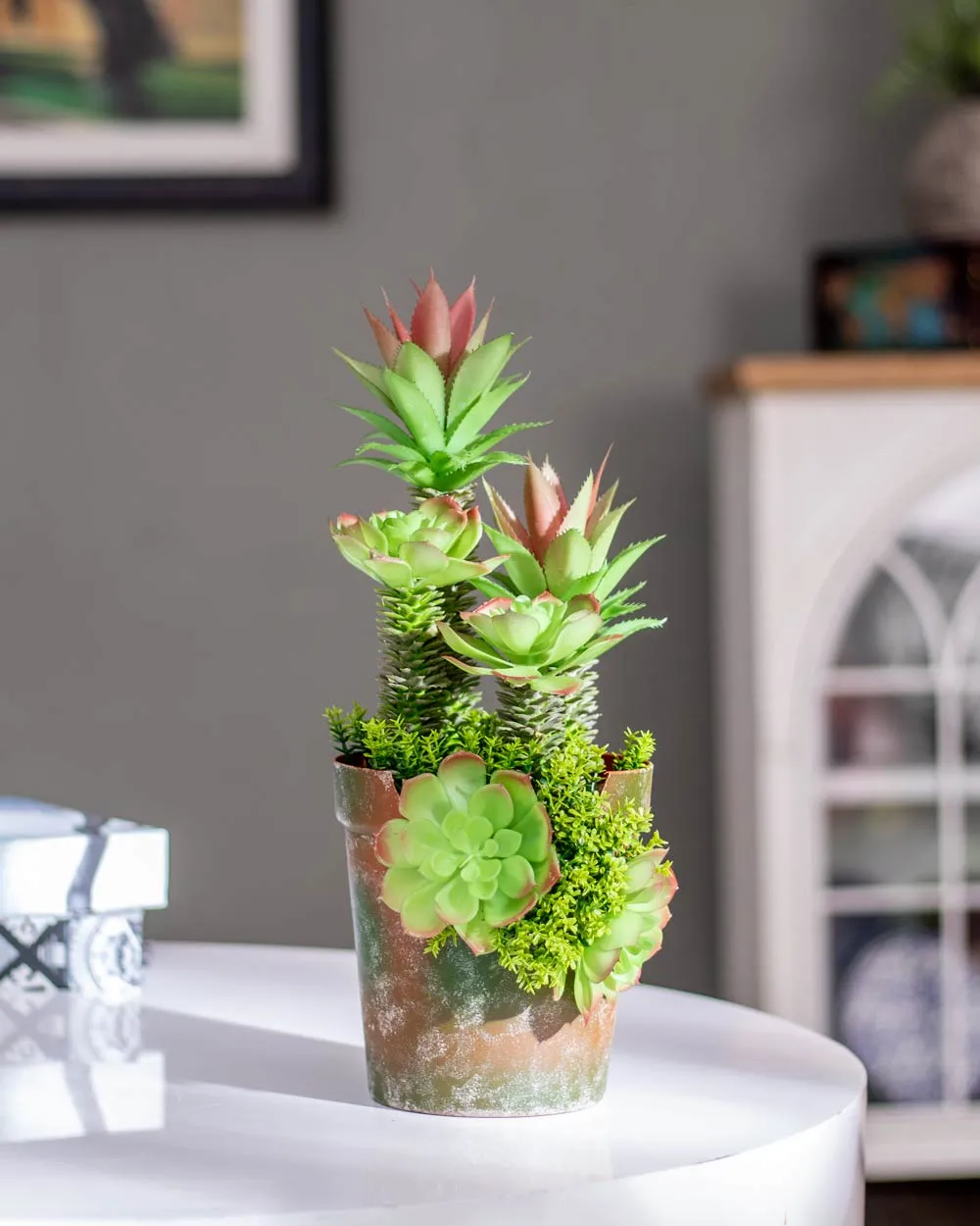 Artificial Succulents Plants With Cement Pot