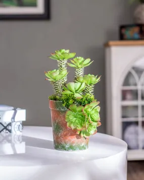 Artificial Succulents Plants With Cement Pot