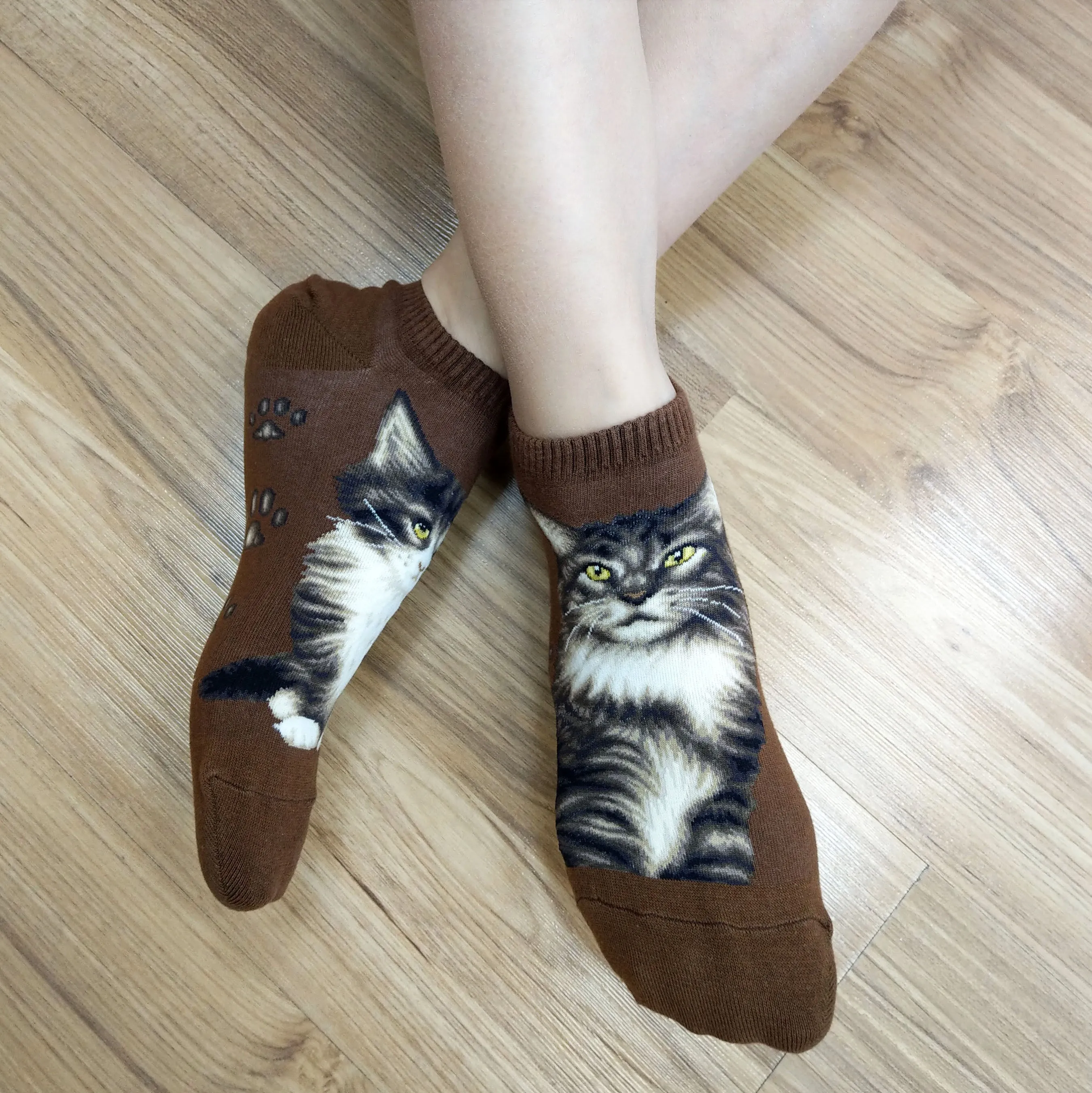 Cat Ankles - Maine Coon Brown