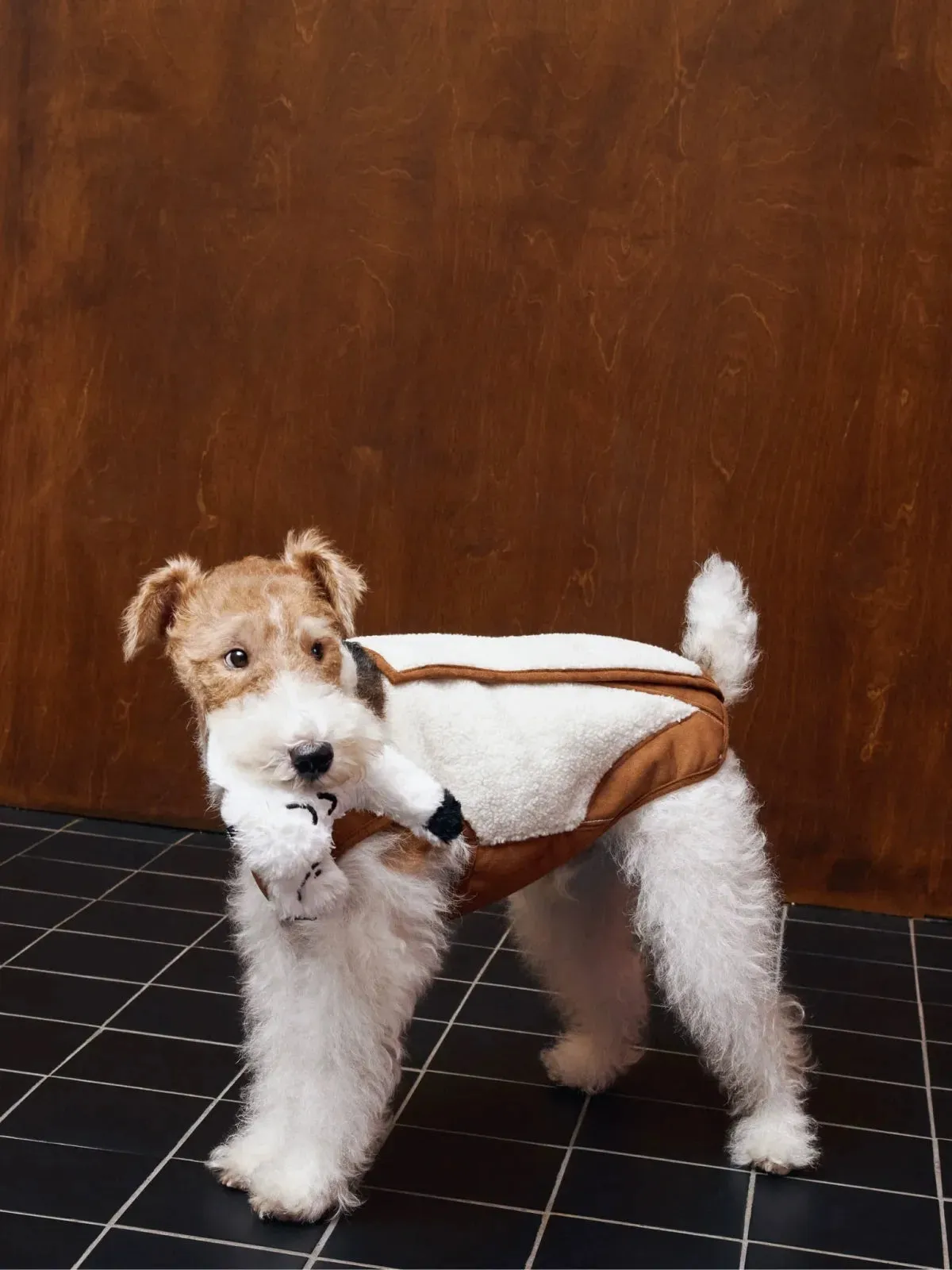 Double-sided Faux Shearling Dog Vest