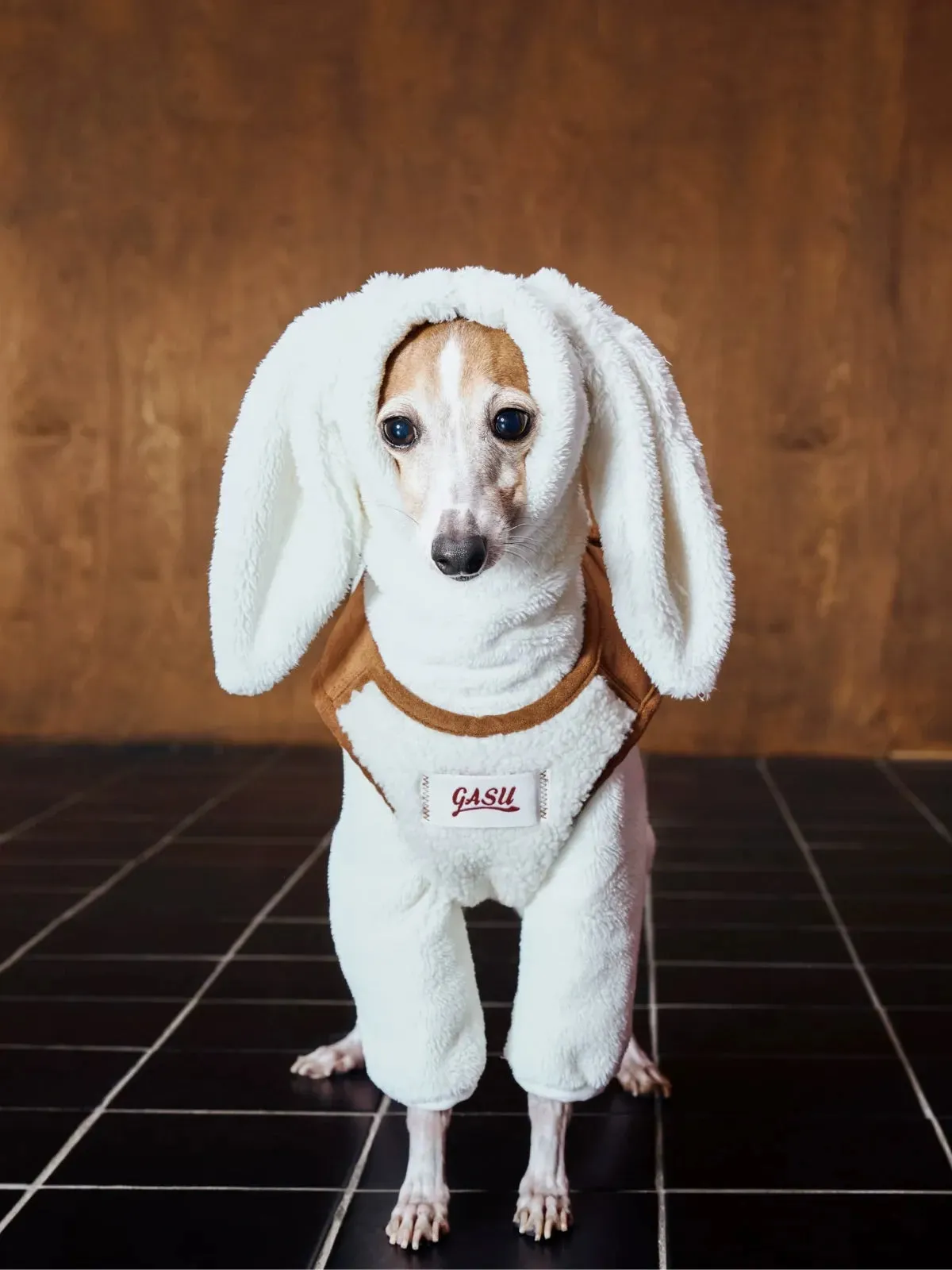 Double-sided Faux Shearling Dog Vest