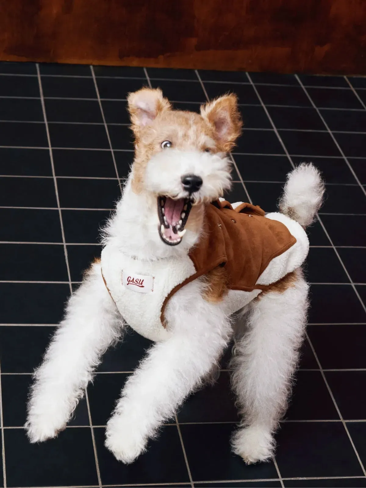 Double-sided Faux Shearling Dog Vest