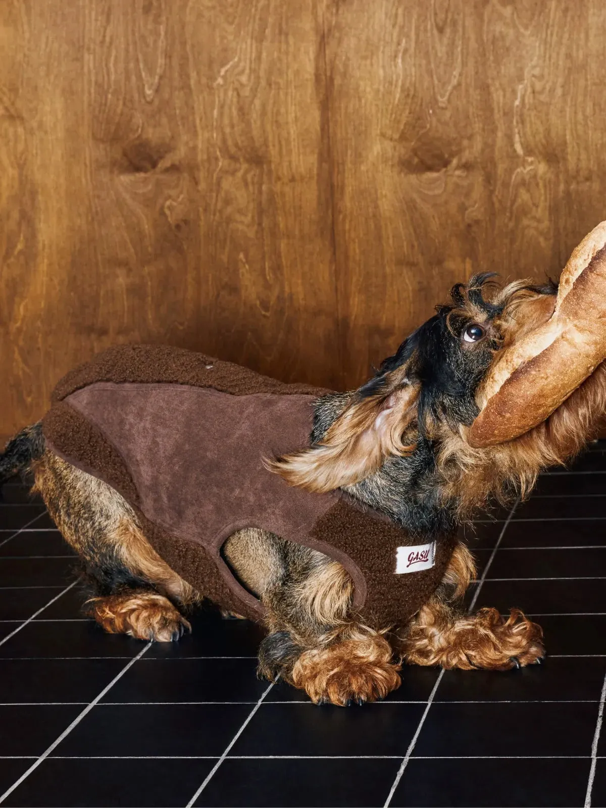 Double-sided Faux Shearling Dog Vest