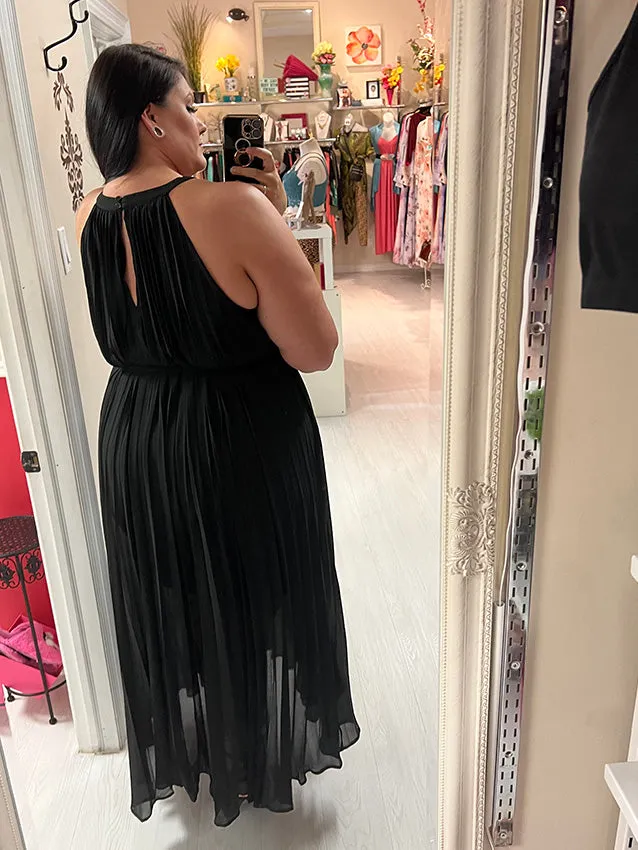 Jasmine Plus Size Pleated Maxi Dress