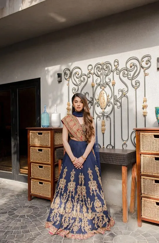 Traditional Chiffon Lehenga Choli Paired with a Net Dupatta